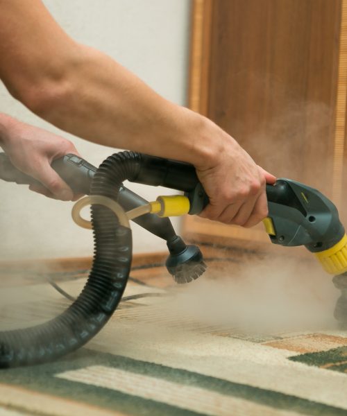The process of cleaning carpets with a steam vacuum cleaner. An employee of a cleaning company cleans the carpet using steam.